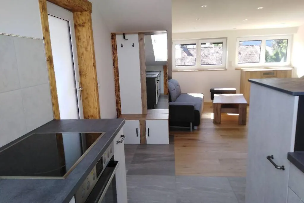 Komplette Dachwohnung Mit Balkon Und Bergblick ゾントホーフェン アパート